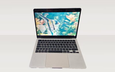 Reviving a MacBook Air with No Video